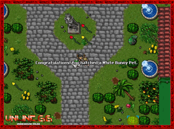 Pet 1.png