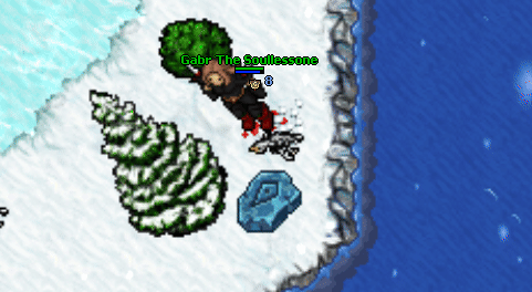 Winter ward stone absorb.gif