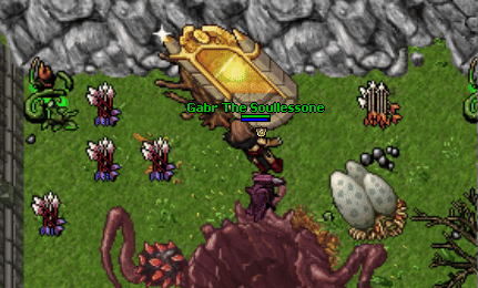 Earth castle waypoint.gif