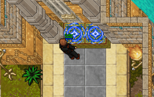 Metrica Access.gif