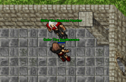 Tamed panda mount quest.gif