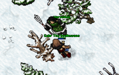 Norseman addons outfit quest.gif
