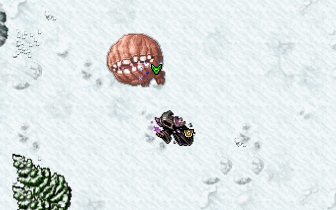 Shinny pet.gif