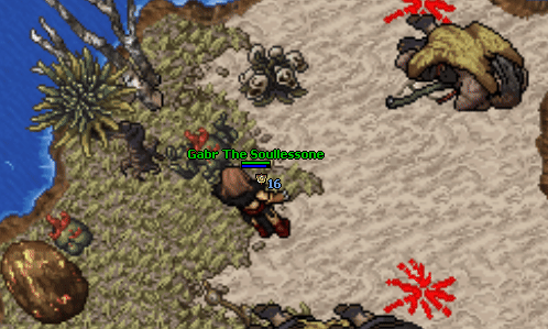 Skull orchid gathering.gif