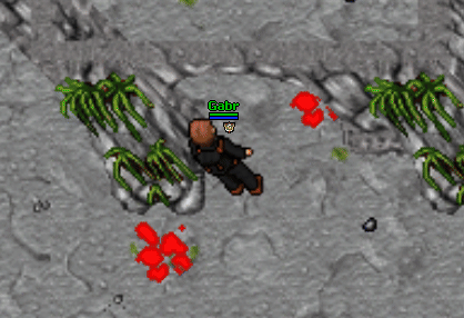 Gladiator Armor Lever 1.gif