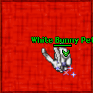 Two 1 whitebunny 0.gif