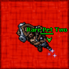 Two 3 piratebomber 125.gif