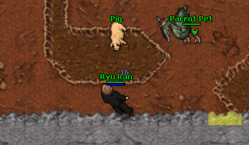 The fire of suns npc.gif