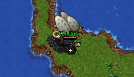 File:Egg Hunter Break.gif
