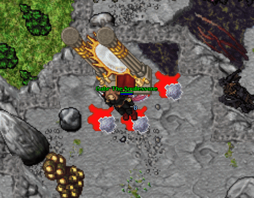 Soul Core Puzzle.gif