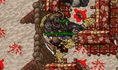 Burok npc location.gif