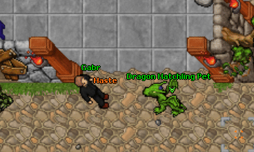 Pet 2.gif
