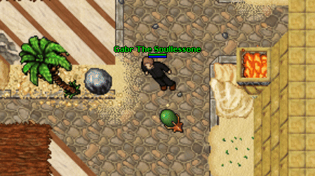 Pet hatch.gif