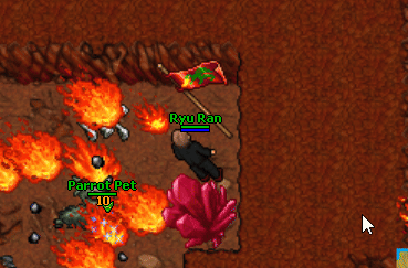 Summoner addons outfit quest.gif