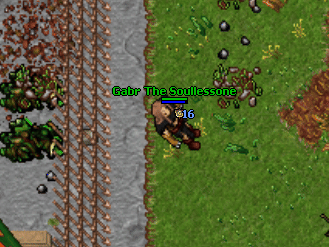 Earth castle gate.gif