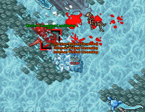 Winter champion lumithriel fight.gif