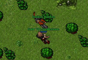 Donkus mulekin.gif