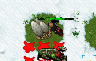 Dragons nest destroy.gif