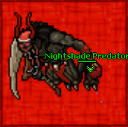 Nj nightshadepredator.gif