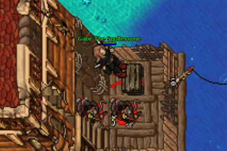 Sacred fish gather.gif