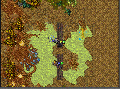 Zoltyumbanner2 2.gif