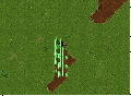 Thumbnail for version as of 16:47, 14 July 2026