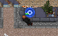 Thumbnail for version as of 16:46, 18 December 2024