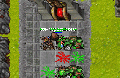 Thumbnail for version as of 00:15, 9 September 2025