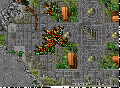 Exori san gran.gif