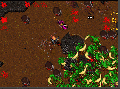 Thumbnail for version as of 23:22, 4 September 2025
