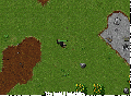 Thumbnail for version as of 17:18, 14 July 2026