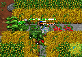 Thumbnail for version as of 19:37, 24 August 2025