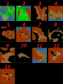 Thumbnail for version as of 16:33, 9 September 2025