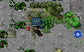Rookie Quest 3.gif