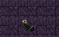 Thumbnail for version as of 18:47, 15 July 2026