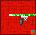 Thumbnail for version as of 02:34, 1 September 2025