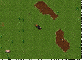 Thumbnail for version as of 04:06, 15 July 2026