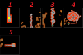 Thumbnail for version as of 15:48, 11 September 2025