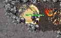 Thumbnail for version as of 23:41, 11 September 2025