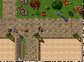 Thumbnail for version as of 04:10, 15 July 2026