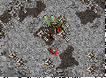 Exevo gran san.gif
