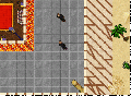 Thumbnail for version as of 17:20, 7 September 2025