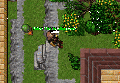 Thumbnail for version as of 01:34, 9 September 2025