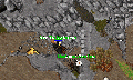 Thumbnail for version as of 03:01, 31 August 2025